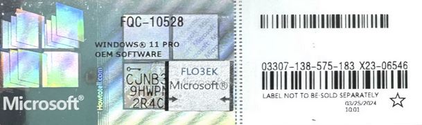 Microsoft Windows 11 PRO para Workstation