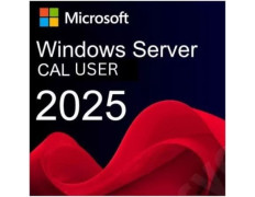 Licencia Microsoft Windows Server 2025 y CAL - Software Microsoft