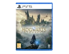 HOGWARTS LEGACY