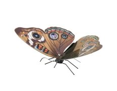 MAQUETA 3D METAL FASCINATIONS MARIPOSA BUCKEYE - SIN PEGAMENTO NI SOLDADURA
