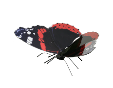 MAQUETA 3D MARIPOSA RED ADMIRAL FASCINATIONS METAL SIN PEGAMENTO NI SOLDADURA