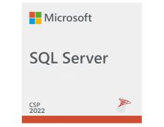 Microsoft 5 Licencias de Usuario para SQL Server 2022. Es necesario Programa SQL