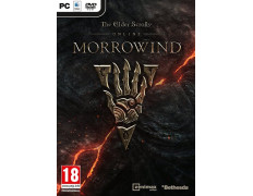 THE ELDER SCROLLS ONLINE: MORROWIND