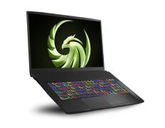 Portátil MSI Bravo 17-002XES AMD R7/16GB/1TB/RX5500M/17.3''