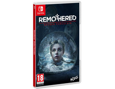 Remothered Broken Porcelain Switch