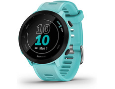 Smartwatch Garmin Forerunner 55 Azul