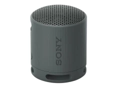 Altavoz Sony SRS-XB100 Negro