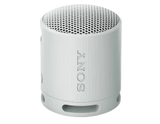 Sony SRS-XB100 Gris