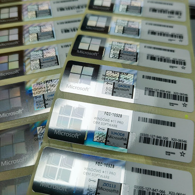 Microsoft Windows 11 PRO para Workstation