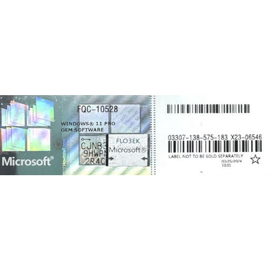 Microsoft Windows 11 PRO para Workstation