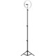 Aro de Luz Profesional Mars Gaming MGRING 10.2''