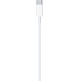 Cable de Carga Apple MQGH2ZM/A USB-C a Lightning (2m)