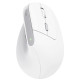 Ratón Vertical Inalámbrico Trust Bayo II Recargable 2400 DPI