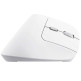 Ratón Vertical Inalámbrico Trust Bayo II Recargable 2400 DPI